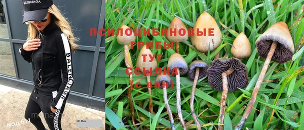 герыч Бородино